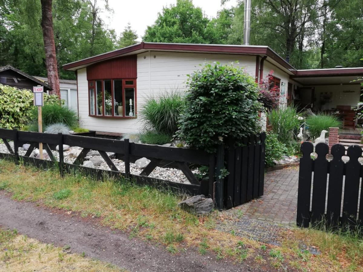 Villa Sfeervol, Ruim En Luxe Chalet In Bosrijke Omgeving Diessen Exterior foto
